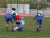 Photo Number 3