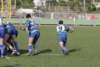 Photo Number 3