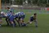 Photo Number 4